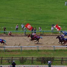 「甲冑競馬」