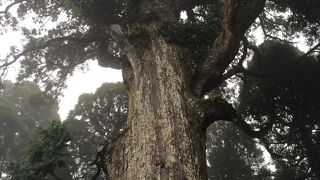 パワーをすごく感じた！