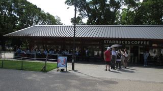 噴水広場前のオシャレ空間