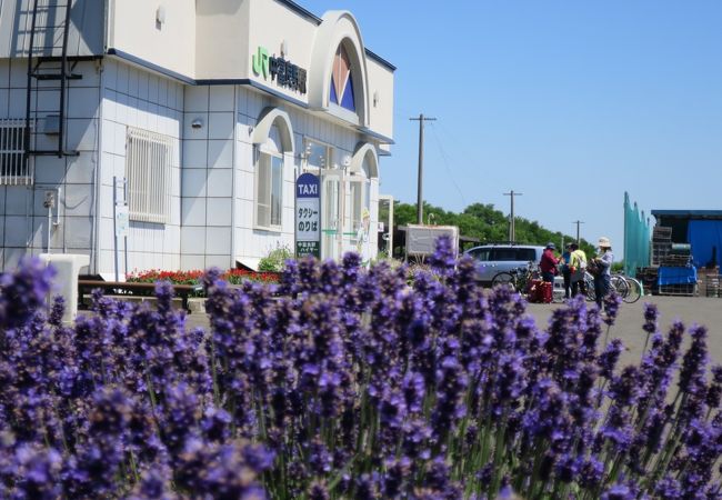 観光地の無人駅