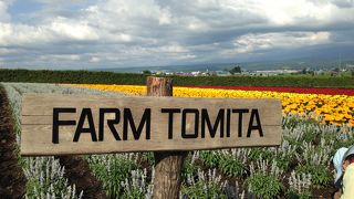 かなりの暑さにぐったり…。