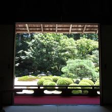 余裕で撮れちゃう額縁の構図