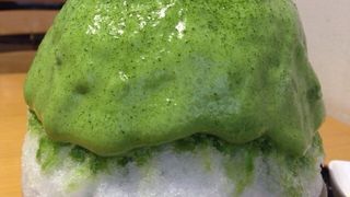 しもきた茶苑大山