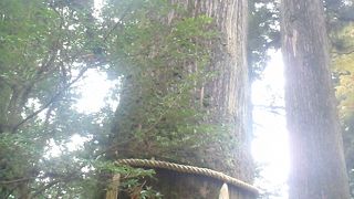 坂上田村麻呂が表矢を奉納した