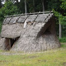 縄文公園で撮影