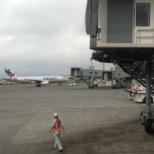 各航空会社のスポットには駐機していました　ジェットスター