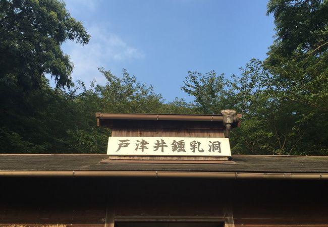 戸津井鍾乳洞 クチコミ アクセス 営業時間 由良 日高 美浜 フォートラベル