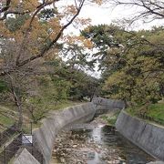 駅名は、夙川の河川敷にある、さくらからの由来です。ぜひ