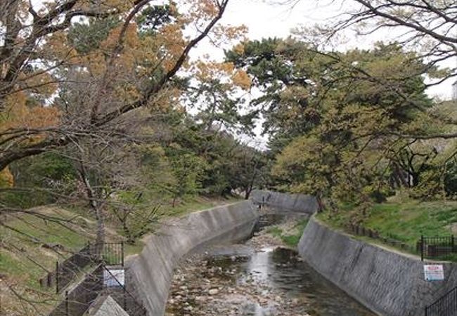 駅名は、夙川の河川敷にある、さくらからの由来です。ぜひ