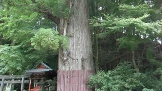 道路にはみ出た