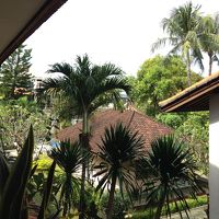 バルコニーからのガーデンビュー