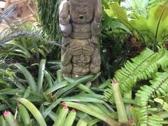 サンセット ビーチ リゾート 写真