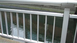 中央線、総武線に乗って、神田川を眺めるのも良いです