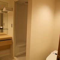 客室にもシャワールームはあります．