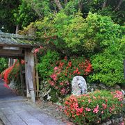 雰囲気のある小さなお寺がさつきに埋もれるようでした。