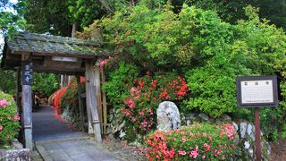 雲迎寺 （さつき寺）