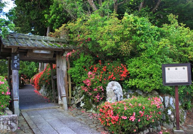 雰囲気のある小さなお寺がさつきに埋もれるようでした。