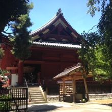 うっそうとした上野の森の中にあります