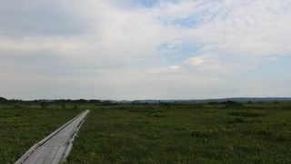 丁度良いタイミングで行けばたくさんの花が見られます。