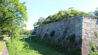 広々しています。