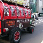 のんびり馬で札幌散歩