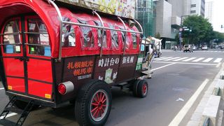 のんびり馬で札幌散歩
