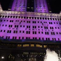 ピンクリボンキャンペーンでとっても綺麗でした