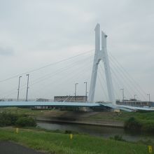 越谷市の鳥 しらこばと をイメージした橋 By Asamiy しらこばと橋のクチコミ フォートラベル