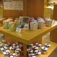 手ぬぐいなどの売り場の近くにこんなものが