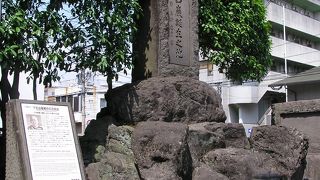 陸の大山、海の東郷