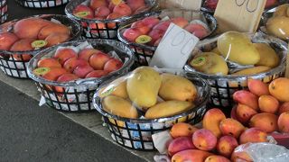 台湾マンゴーの名産地にあるマンゴー市場