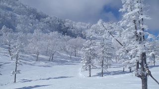 人が多くても密度は感じない。