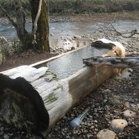 トチニの湯です