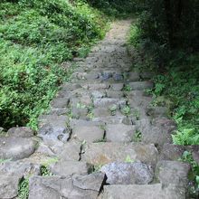 この石段を登って登城します。