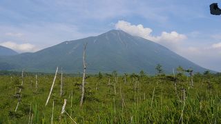 湿地帯と奥に見える山々が美しい