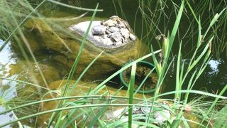 いい気の流れるパワースポット