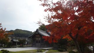 ツアーで京都に