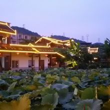 ライトアップが綺麗です