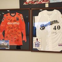 プロチームのキャンプも