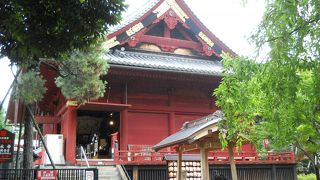 寛永寺清水観音堂