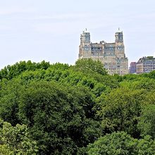 ルーフガーデンからの眺め