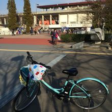 自転車で行ってみた By Kentokovic 小瀬スポーツ公園のクチコミ フォートラベル 自転車で行ってみた By Kentokovic 小瀬スポーツ公園のクチコミ フォートラベル