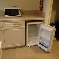 冷蔵庫は大きくないし1ドア。