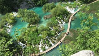 圧倒される水の豊かさと透明度、緑の溢れる木道