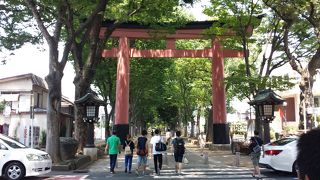 酷暑の中、日陰で気持ちよく歩けました