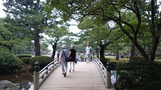 花見れませんでした(>_<)