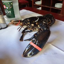 調理前に動いているオマール海老を見せてくれます