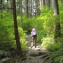 登り始めの道。