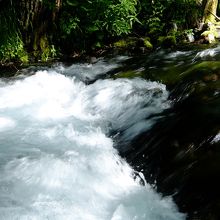 小川は清らか。