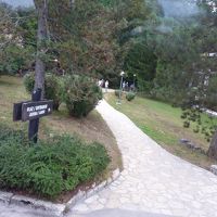 湖岸に続く道路は林に入ると階段になります